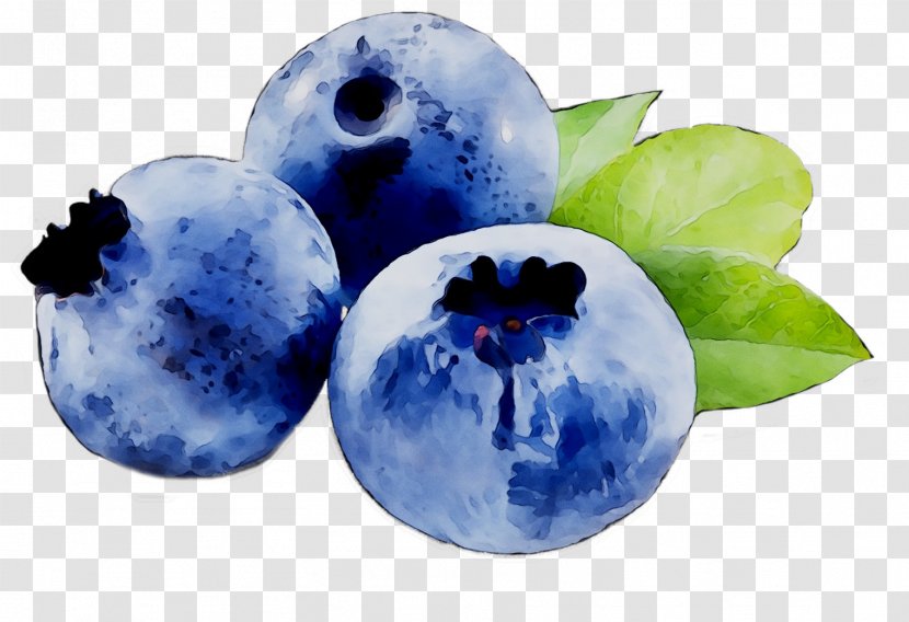Blueberry Bilberry Fruit Actimel - Cobalt Blue - Berry Transparent PNG
