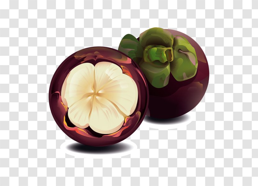 Purple Mangosteen Fruit Clip Art - Element Transparent PNG