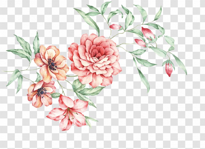 China Floral Design Moutan Peony - Hand-painted Chinese Transparent PNG