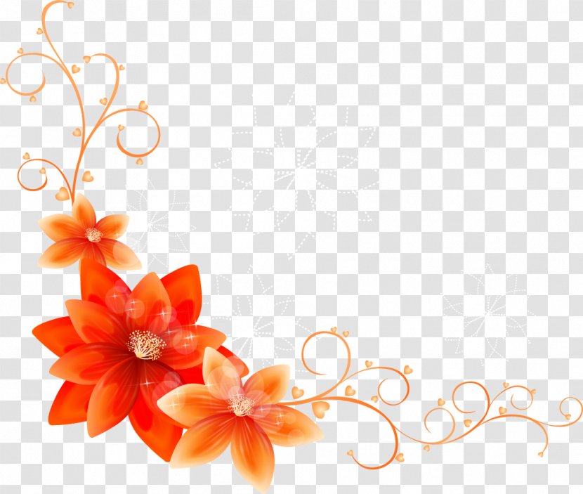 Flower Adobe Illustrator - Orange - Border Transparent PNG