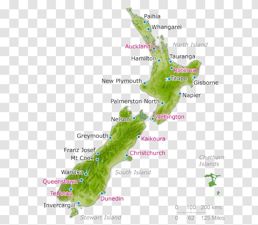 Waitomo Caves Map Auckland Travel Geography - Tree Transparent PNG