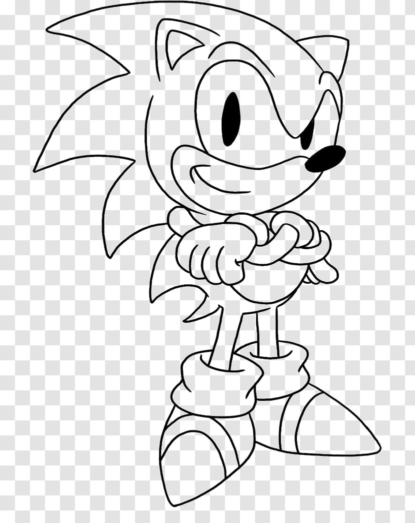 Sonic Chaos Amy Rose Colors Shadow The Hedgehog Colouring Pages - Cartoon - Gambar Racing Transparent PNG