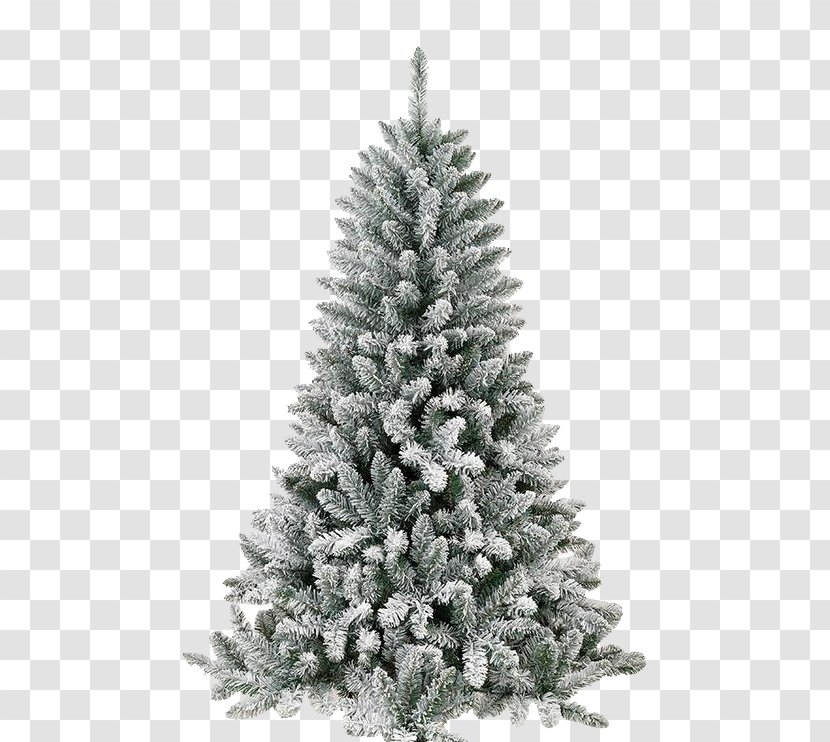Spruce Christmas Tree Santa Claus Ornament Day - Snowflake - DV Transparent PNG
