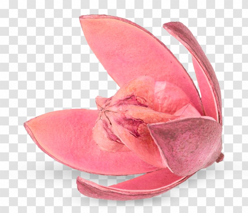 Sandal Pink M Shoe Transparent PNG