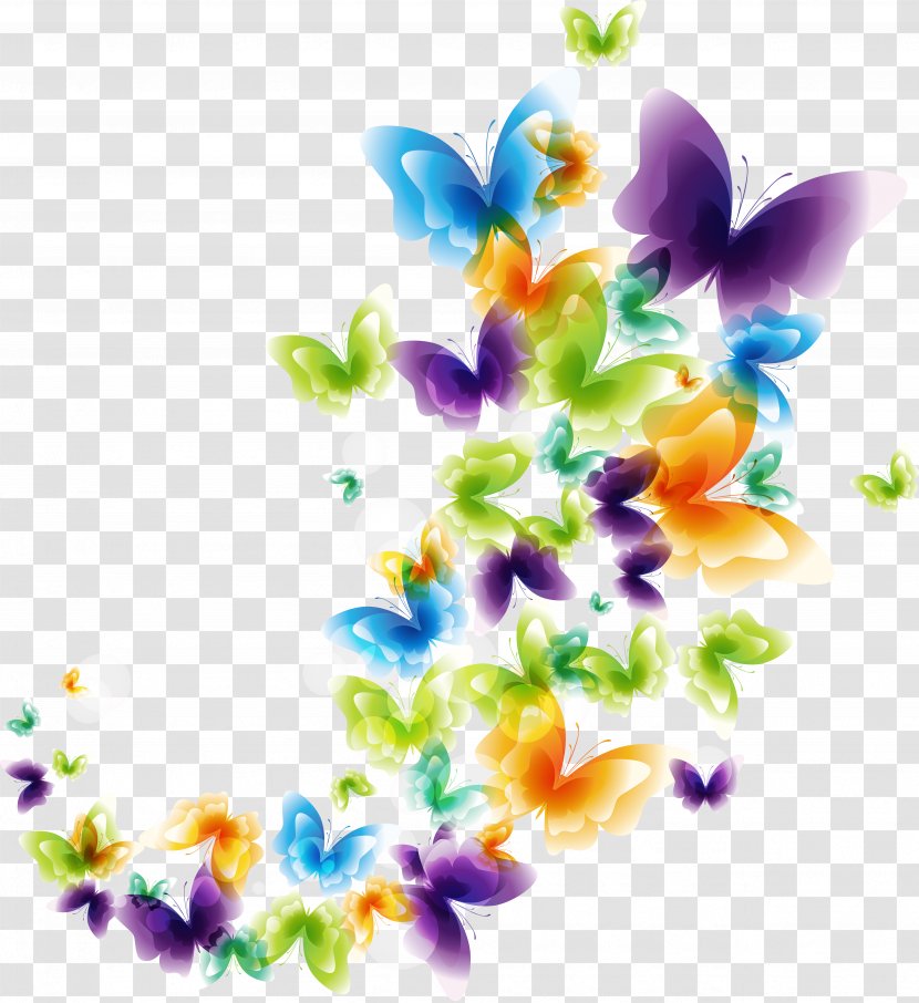 Colours - Butterfly - Art Transparent PNG