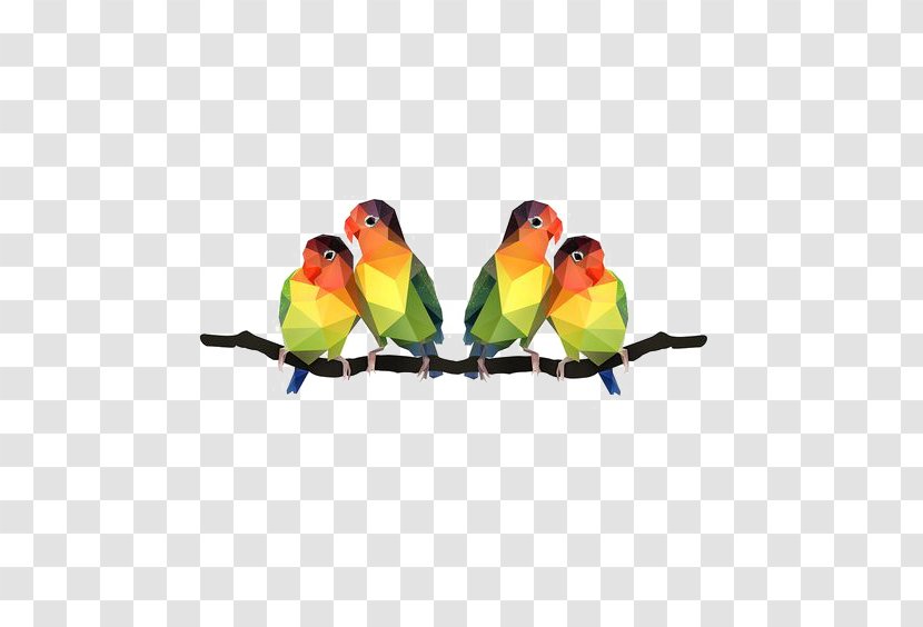 Lovebird Parrot Illustration - Bird - Cartoon Transparent PNG