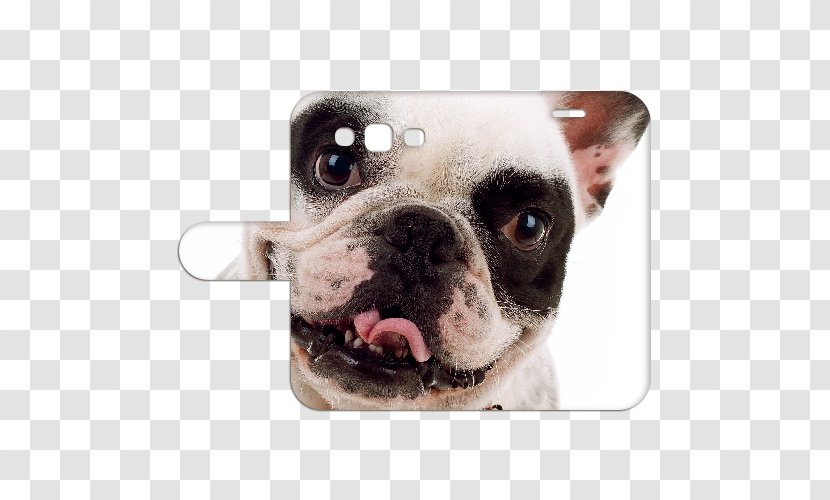 French Bulldog Puppy Samsung - Galaxy S7 Transparent PNG