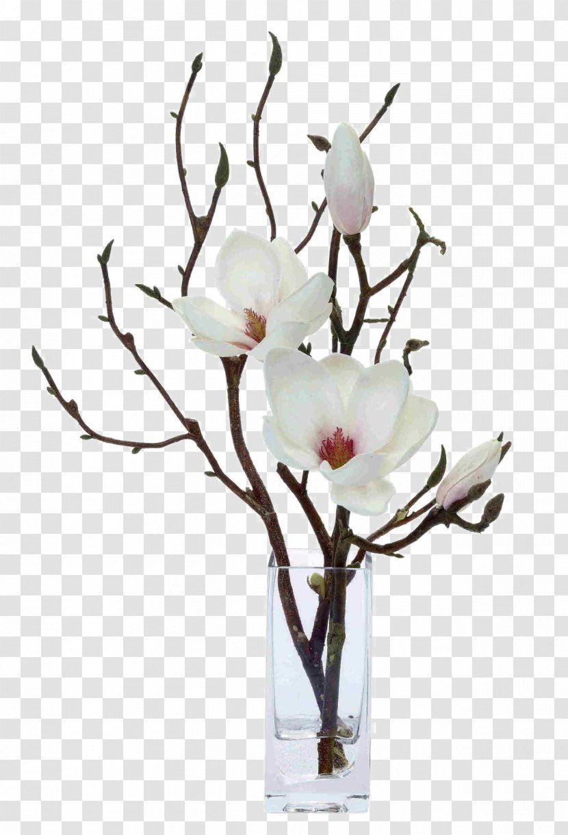 Magnolia Artificial Flower Floral Design Floristry - Arranging - White Flowers Decoration Software Installed Transparent PNG