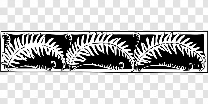 Black And White Fern Drawing Clip Art - Graphic Arts - Leaf Transparent PNG