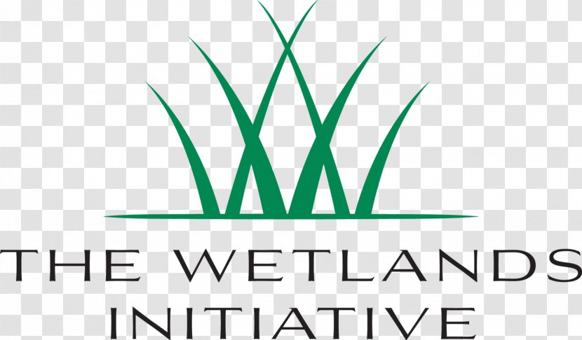 Wetlands Initiative Non-profit Organisation Water Prairie - Logo - Flood Transparent PNG