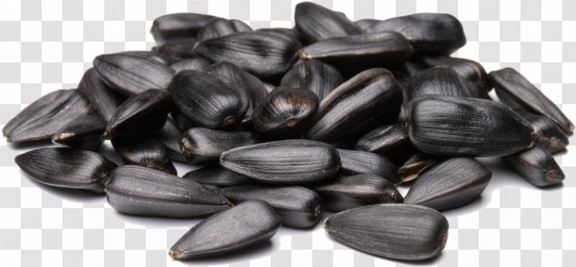 Sunflower Seed Common Clip Art - Dried Fruit - Nut Transparent PNG