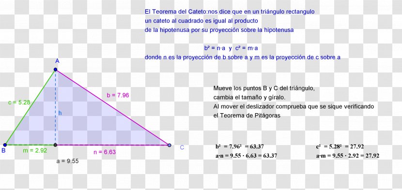 Triangle Diagram Transparent PNG