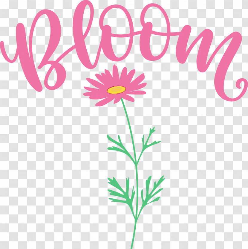 Floral Design Transparent PNG