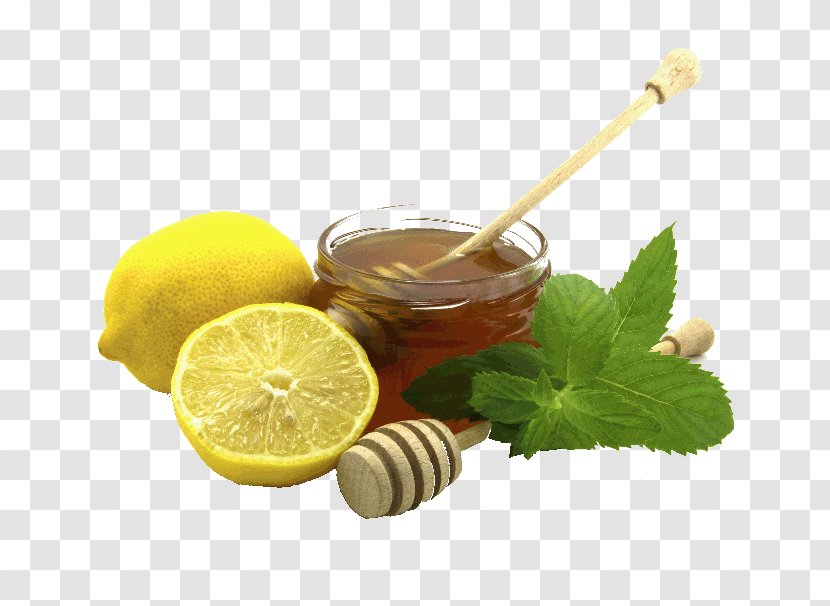 Elderflower Cordial Lemon Juice Cider Liquorice - Extract Transparent PNG