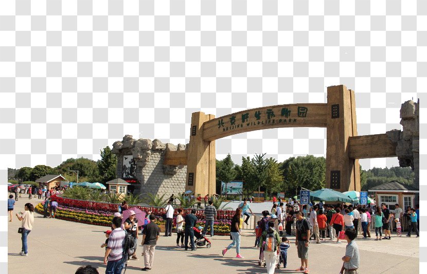 Beijing Wildlife Park Badaling Wild Animal Uff08Northwest Gate 2uff09 Zoo Safari - Resorts Transparent PNG