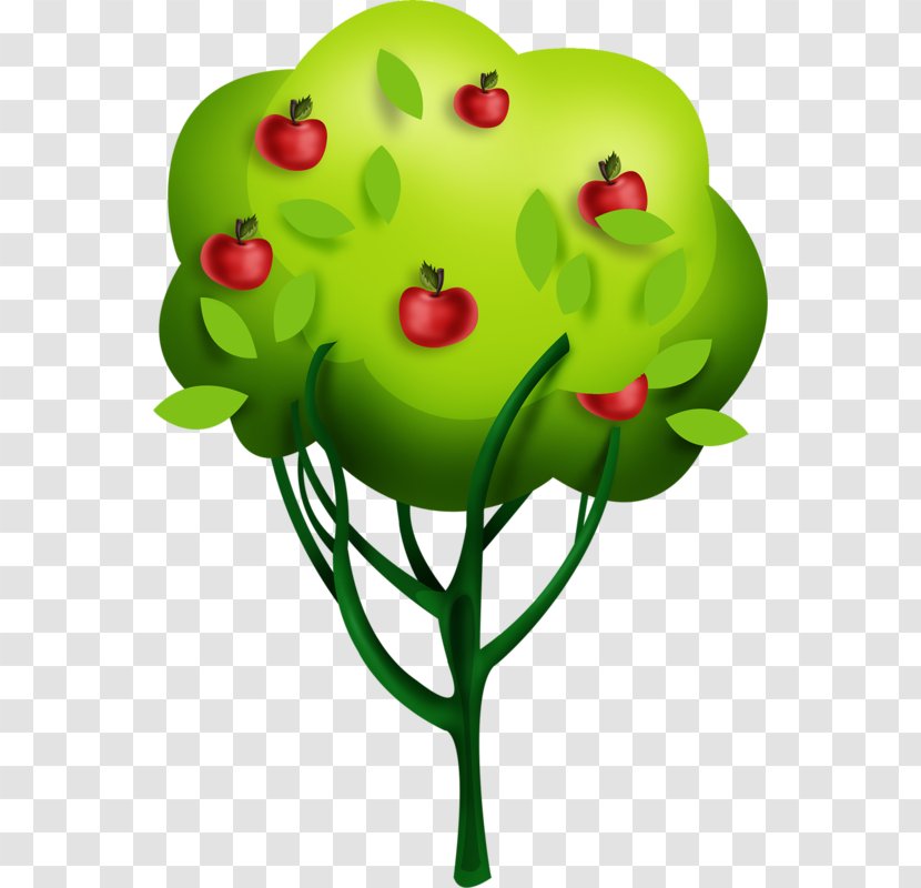 Tree Drawing Apple - Cartoon Transparent PNG