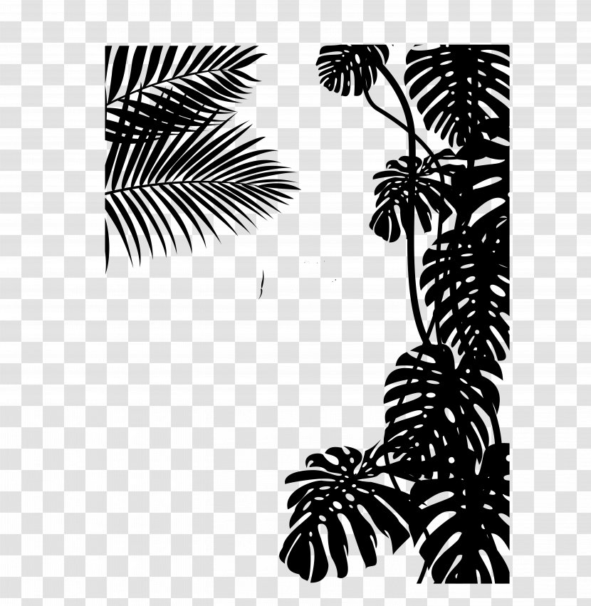 Palm Trees Black & White - Elaeis - M Pine Font Line Transparent PNG