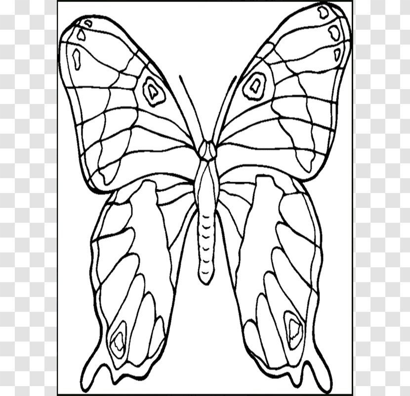 Butterfly Coloring Book Animals That Hibernate Child Adult - Line Art - Gummy Bear Pages Transparent PNG