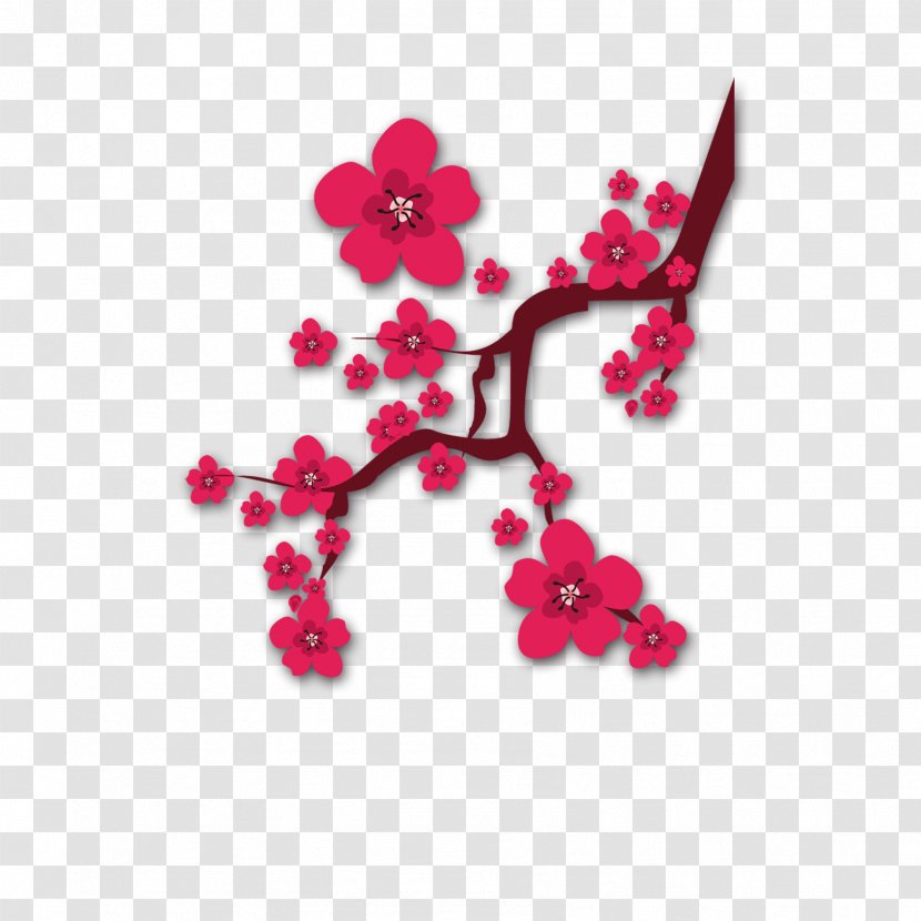 Plum Blossom Download Chinese New Year Clip Art - Color - Flower Transparent PNG