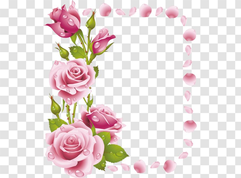 Floral Design Painting Rose Pink Clip Art Transparent PNG