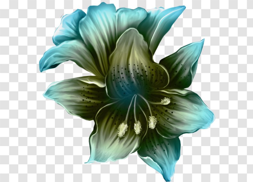 Flower Floral Design Clip Art - Cut Flowers Transparent PNG