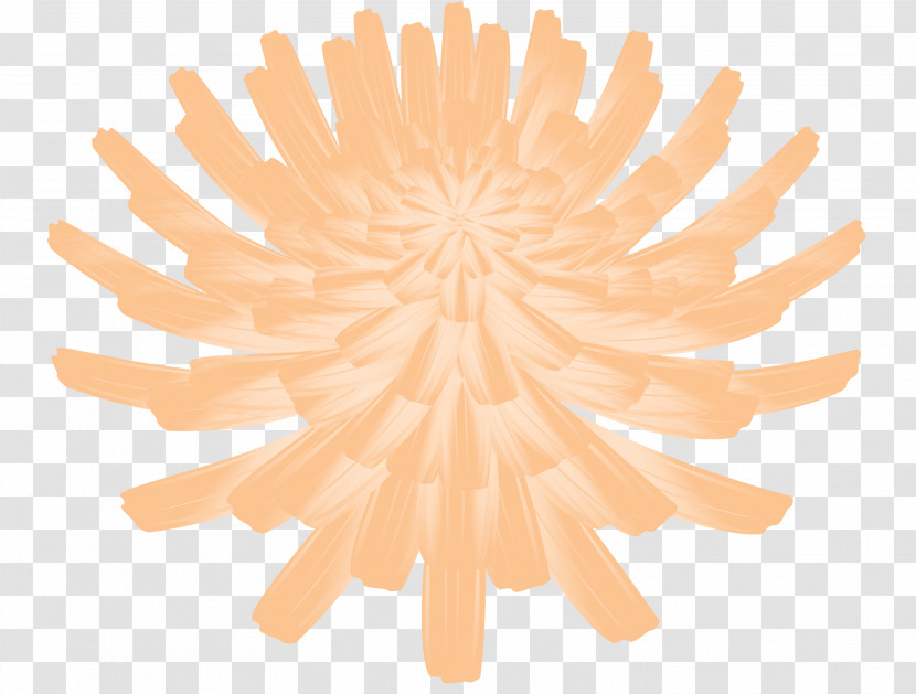 Dandelion Flower Transparent PNG