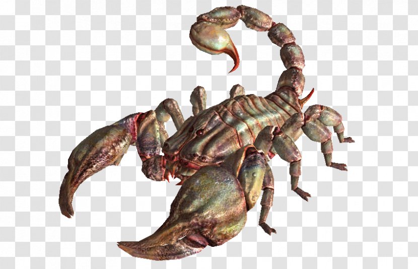 Fallout: New Vegas Fallout 2 4 Broken Steel Wasteland - Invertebrate - Arthropod Transparent PNG