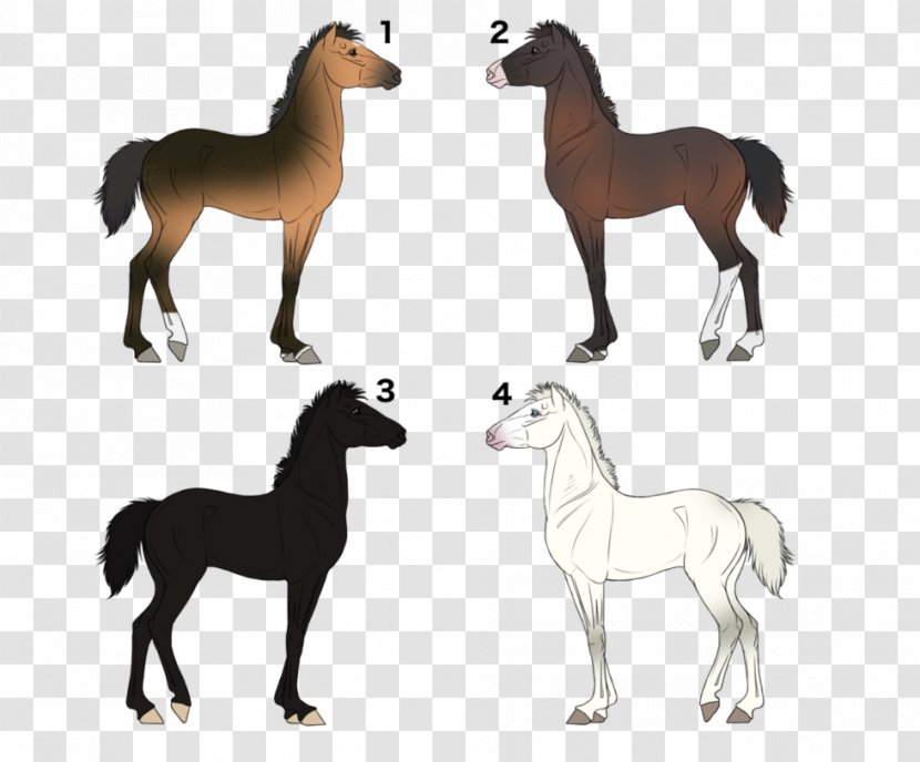 Mustang Foal Mare Stallion Colt - Pony - Horse Auction Transparent PNG