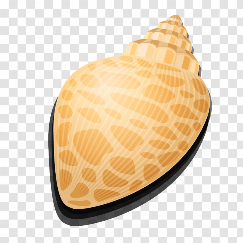 Seashell Vecteur Conch Sea Snail - Nautilida - Vector Transparent PNG