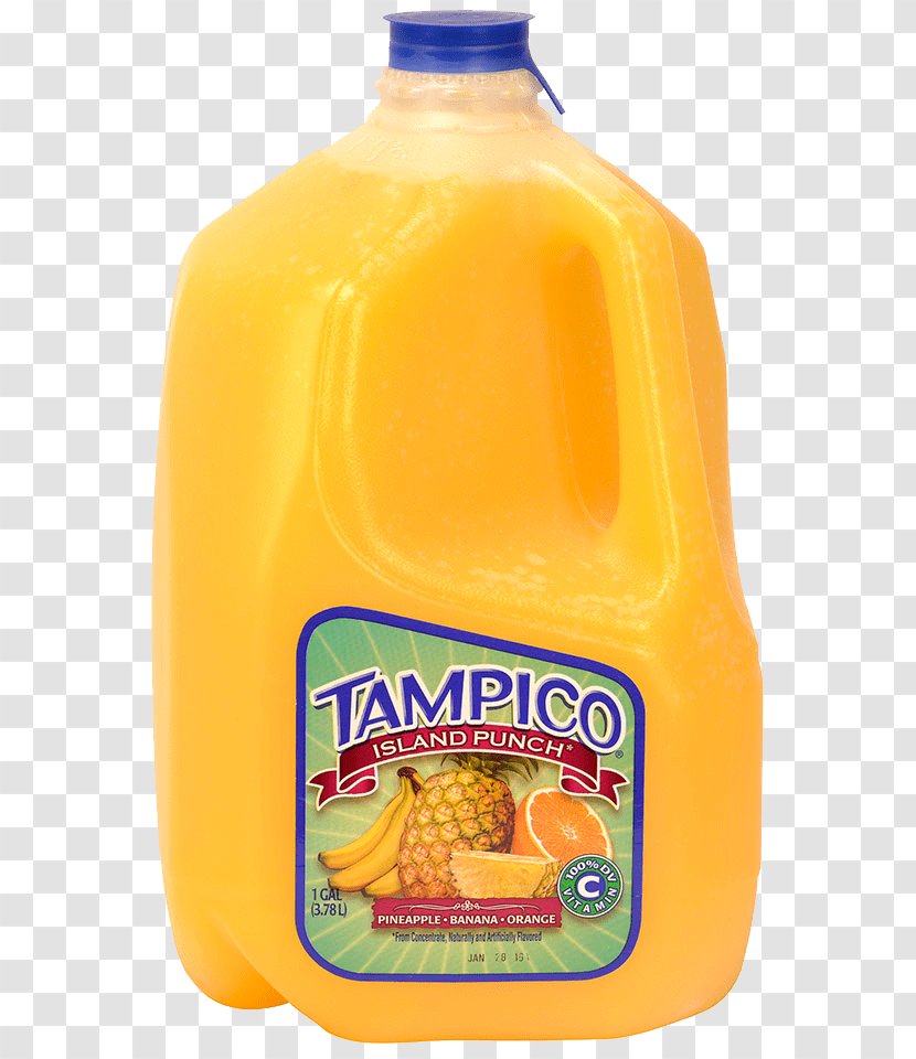 Orange Juice Land O'Lakes Punch Lemonade - Fruit - Citrus Transparent PNG