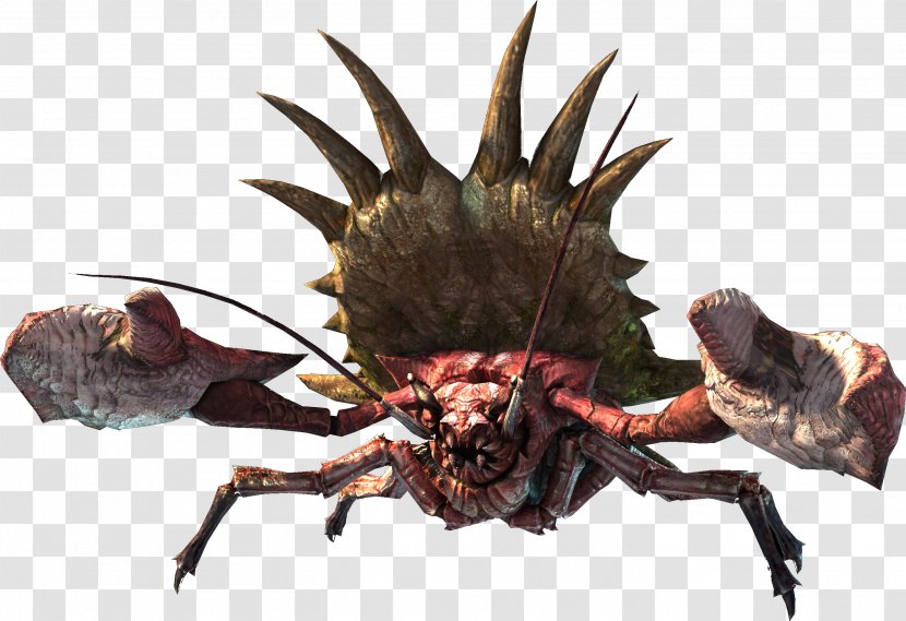 Monster Hunter Generations Online 4 Ultimate Frontier G Daimyo - Organism Transparent PNG