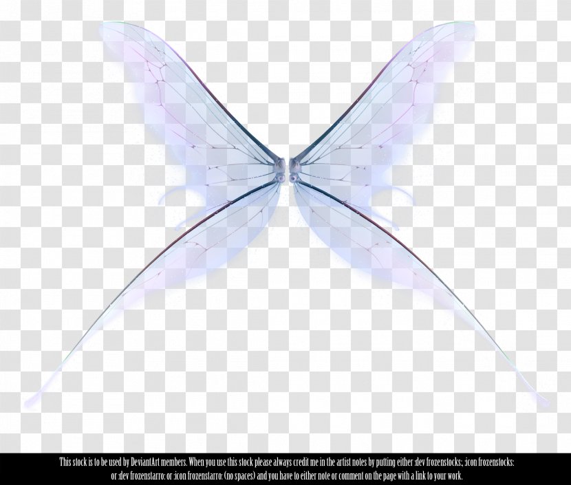 Fairy Information - Butterfly - Angel Transparent PNG