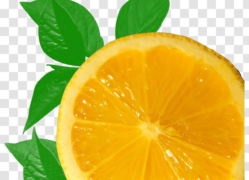 Clementine Lemon Mandarin Orange - Food - Creative Slice Transparent PNG
