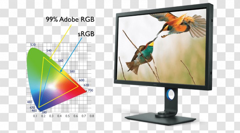 Computer Monitors Rec. 709 Adobe RGB Color Space 4K Resolution Liquid-crystal Display - Television Set - Shading Card Transparent PNG