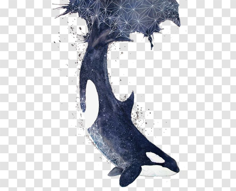 Killer Whale Cetacea Blue Dolphin Porpoise - Art Transparent PNG