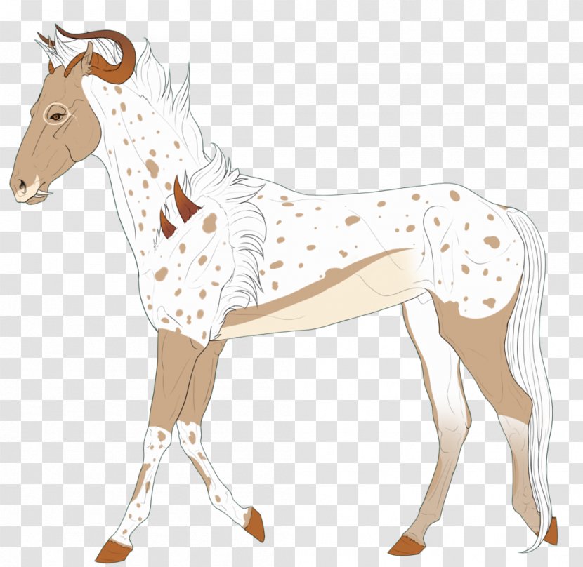 Mule Mustang Foal Pony Giraffe Transparent PNG