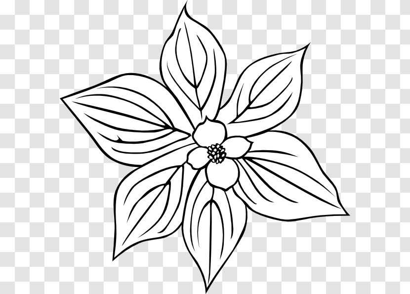 Rosa Acicularis Flower Petal Clip Art - Symmetry - Snowdrop Tattoo Transparent PNG