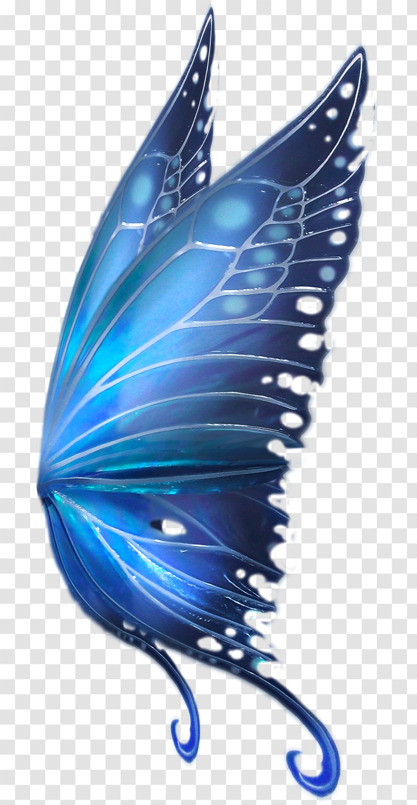 Butterfly Drawing Fairy Bird - Blue Transparent PNG