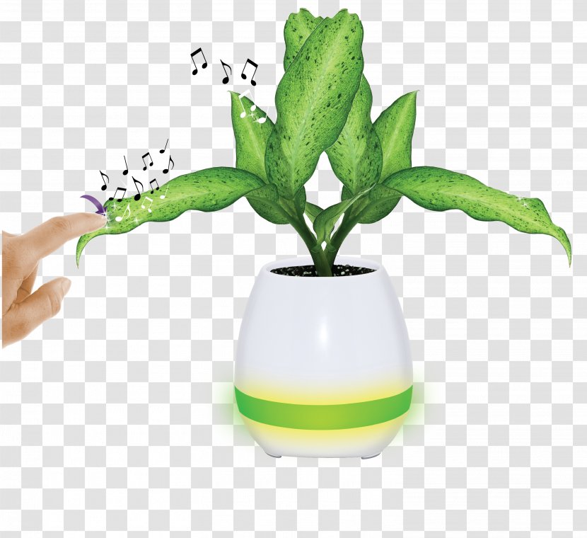 Beethoven's Piano Sonatas Musical Instruments YouTube - Flower - Pot Plant Transparent PNG