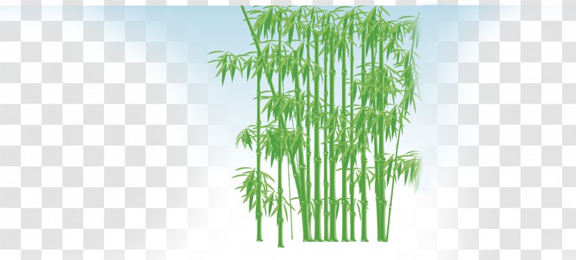 Bamboo Bamboe Gratis - Leaf Transparent PNG