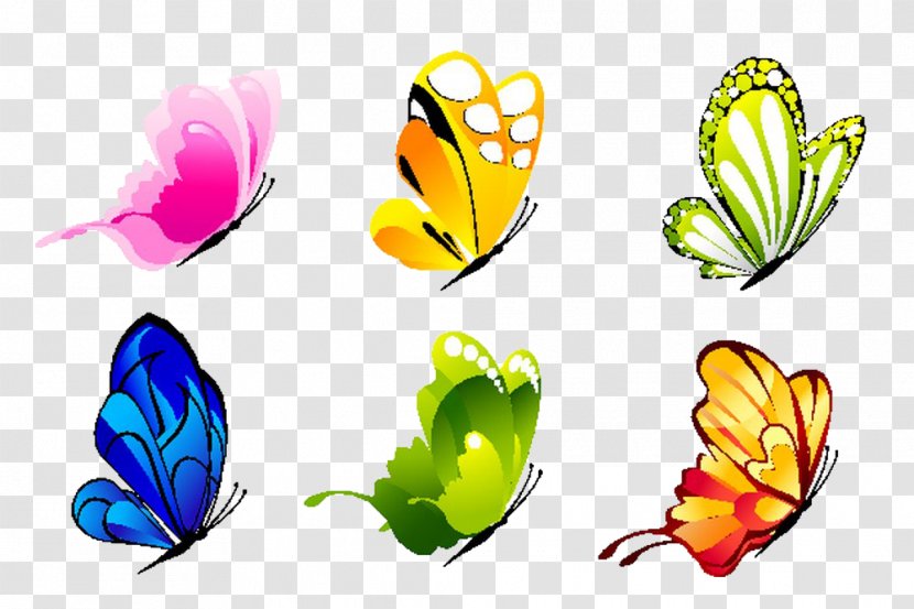 Butterfly Tail Paper Sticker Wall Decal - Polyvinyl Chloride Transparent PNG