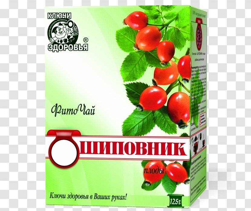 Natural Foods Cherry Tomato Superfood Local Food - Dogrose Transparent PNG