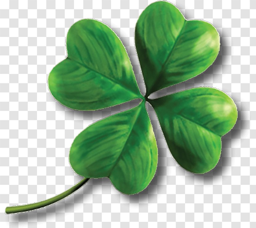 Clover Shamrock Clip Art - Fourleaf Transparent PNG