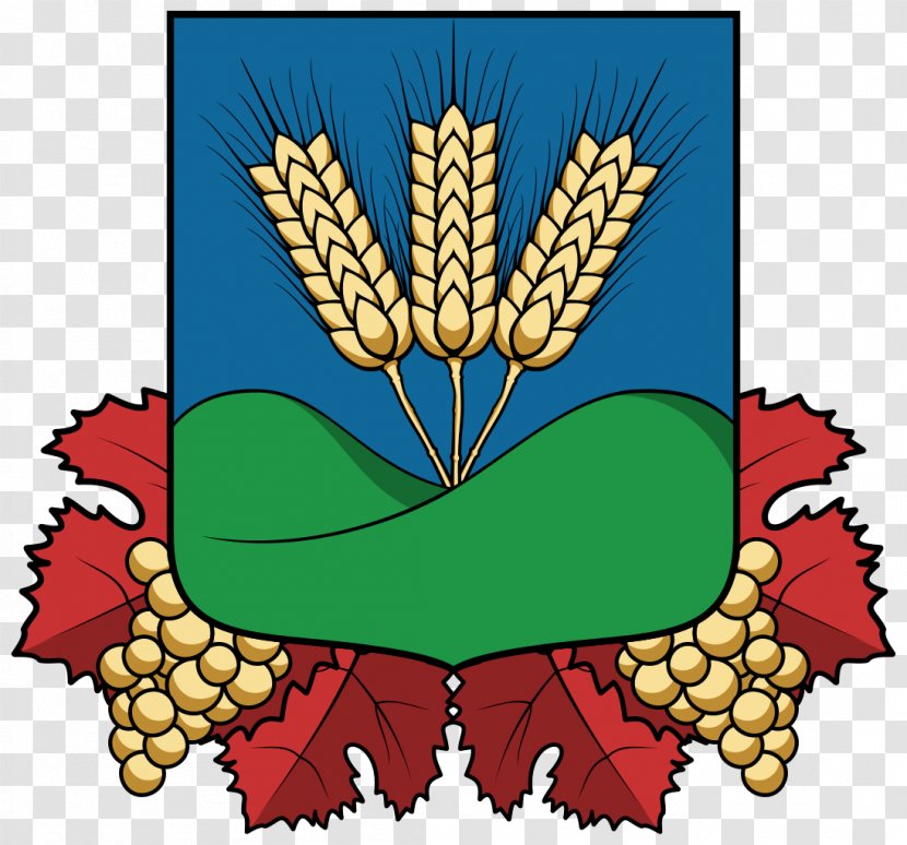 Tura Coat Of Arms Címerhatározó Comună Mare Petőfi Tér - Food - Big Bag Transparent PNG