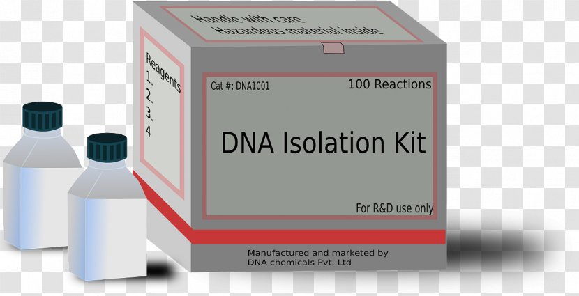 DNA Profiling Genetic Testing Genetics Laboratory - Research - Dna Transparent PNG