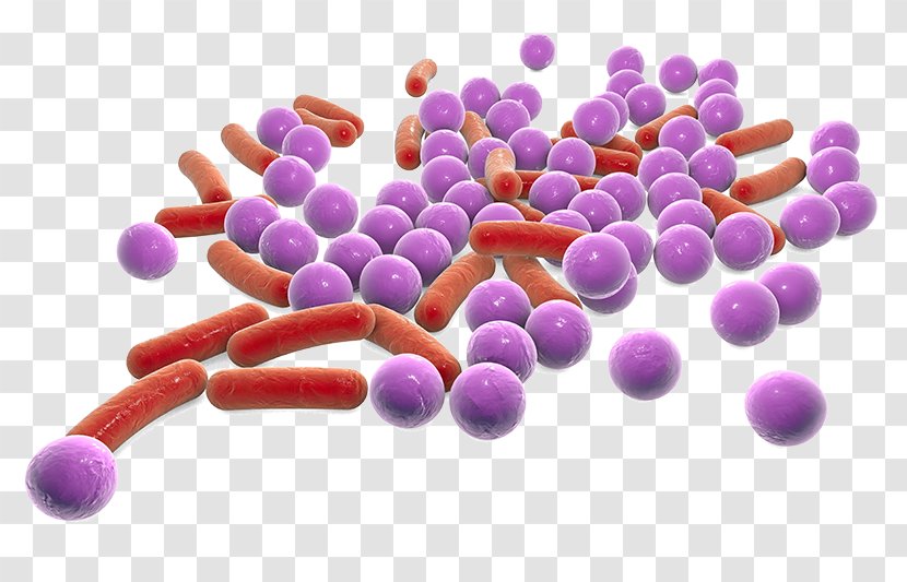 E. Coli Shigella Bacteria Salmonella Bacillus - Purple - Shape Transparent PNG