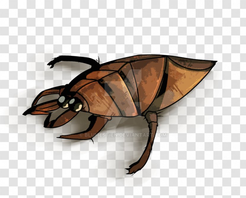 Insect Scarab - Scarabs Transparent PNG