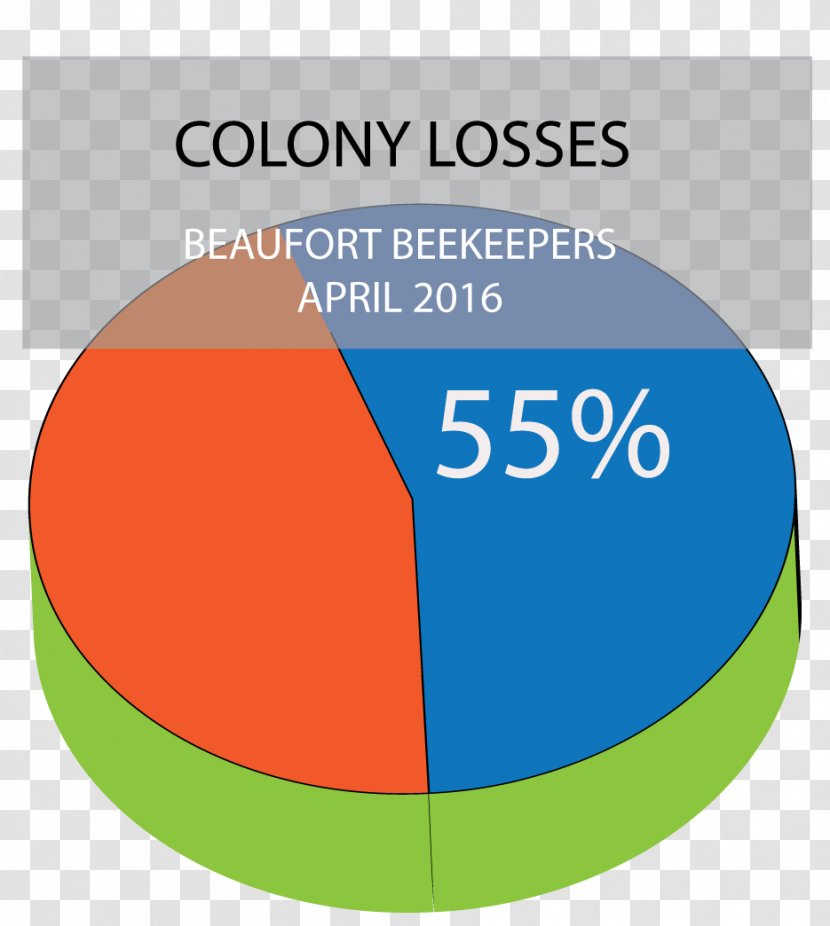 European Dark Bee Beekeeping Beekeeper Apiary - Organization Transparent PNG