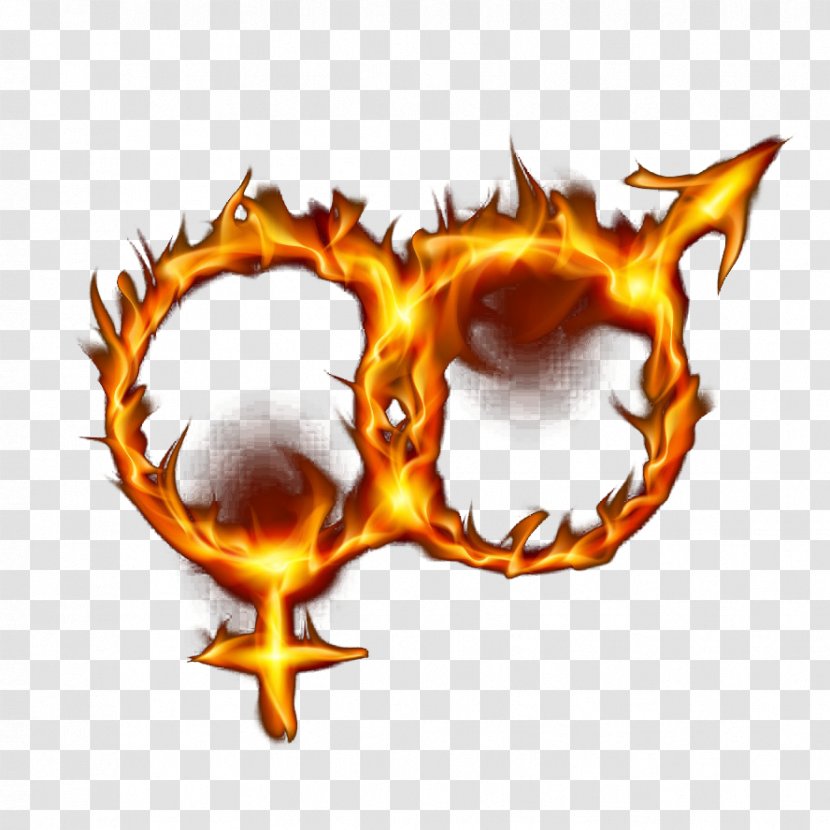 Flame Gender Symbol Fire Clip Art - Male And Female Ring Of Transparent PNG