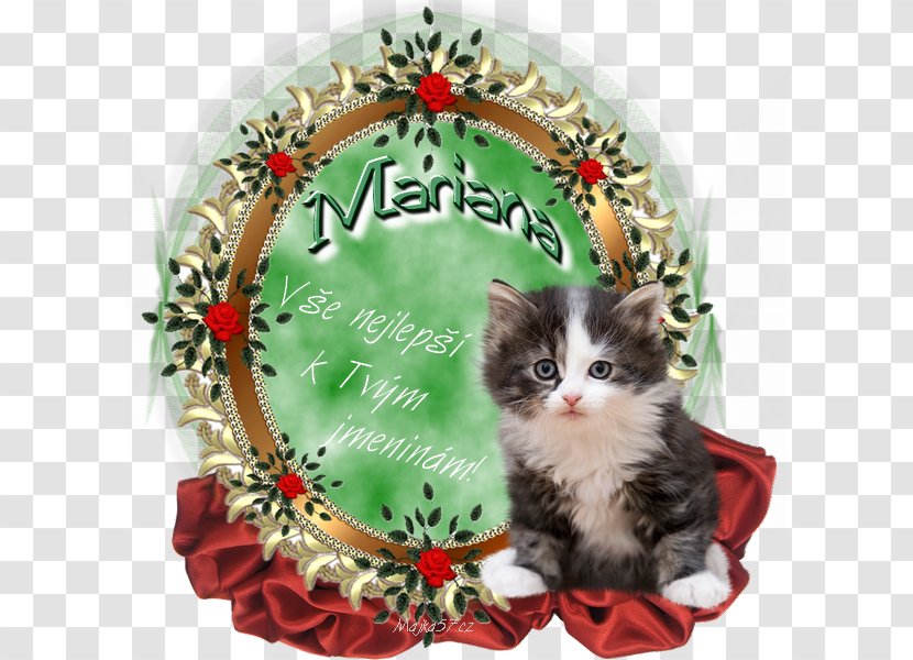 Whiskers Holiday Cat Name Day Transparent PNG